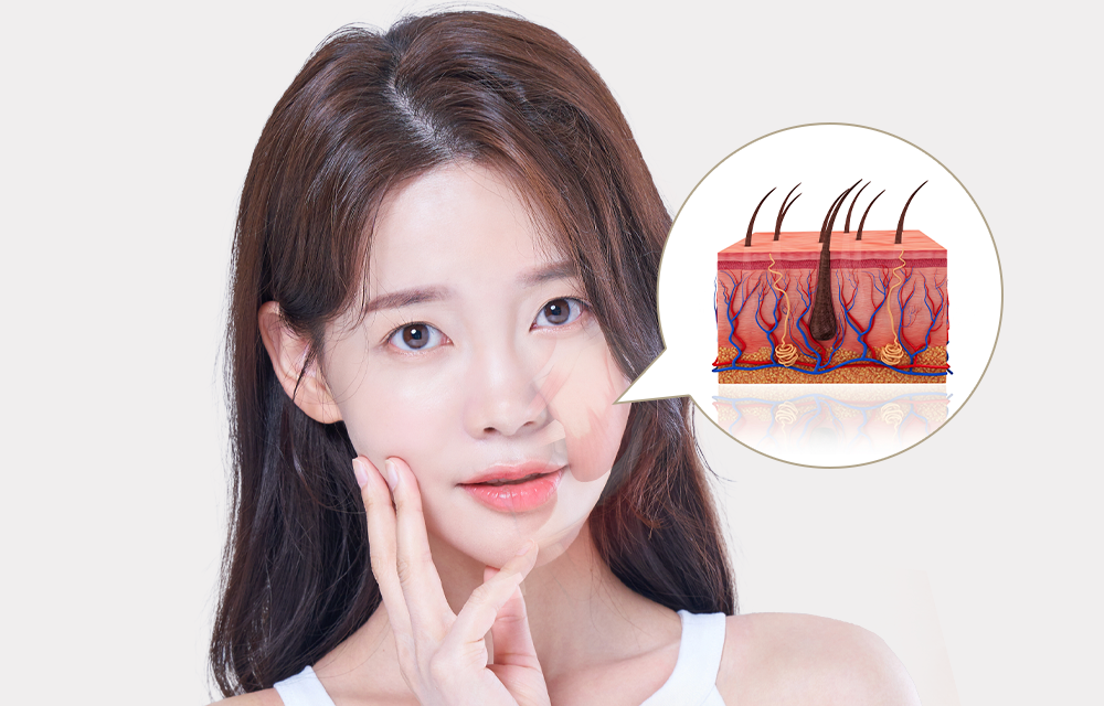 피부 해부학적 지식을 기반으로 시행하는 실리프팅 설명 이미지