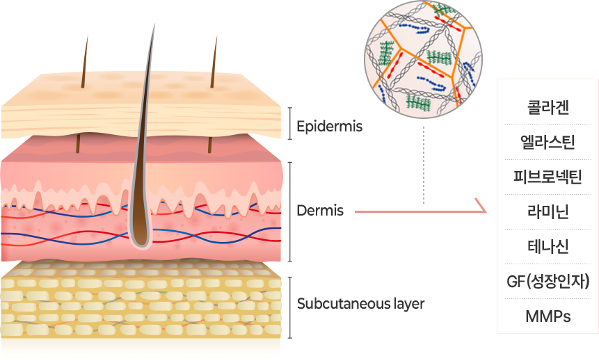 리투오 ECM 설명 이미지