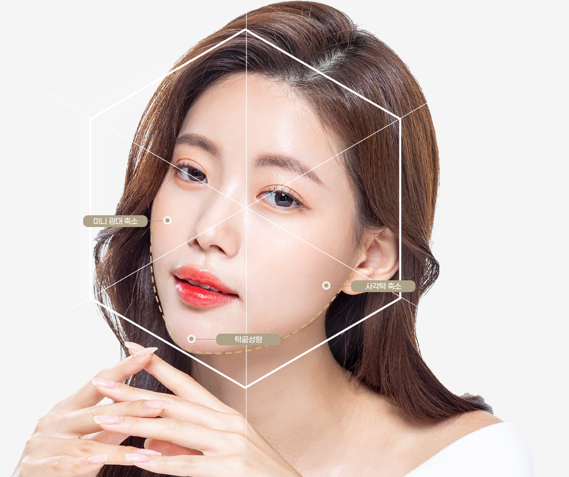 모델 윤곽 이미지